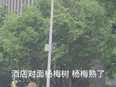 -上海漕河泾万丽酒店