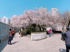 -上海体育场(地铁站)