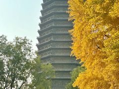 -玲珑塔公园