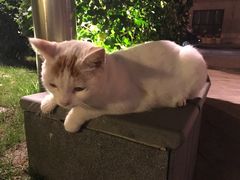 -上海外滩茂悦大酒店