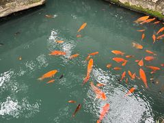 -墨池公园