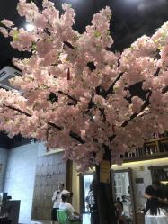 -简影造型·自选烫染接发salon
