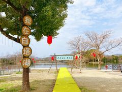 -白塔湖国家湿地公园