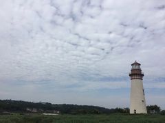 -紫颐香薰山谷景区