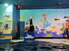 -太平洋海底世界