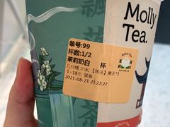 茉莉奶白-茉莉奶白