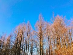 -山王坪喀斯特国家生态公园