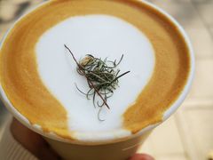 -O.P.S. CAFE