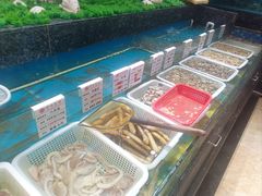 -宝燕壹号(徐汇店)