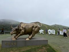 -大姆山草场