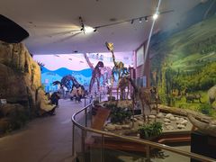 -陕西自然博物馆