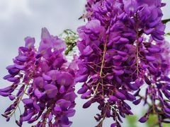 -玄武湖景区-情侣园游乐场