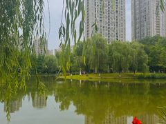-沐仙湖湿地公园