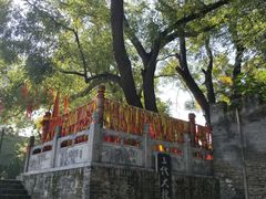 -大槐树寻根祭祖园