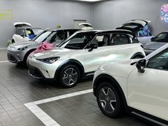 -上海浦东smart汽车全功能店(金桥店)