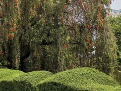 -人民公园(罗湖区)