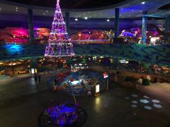 -青岛嘉年华主题乐园