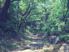 -阳台山自然风景区