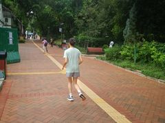 -九龙公园