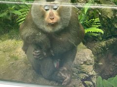 -黔灵山公园