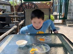 -慢丽江·云南野生菌土鸡锅(付家庄店)