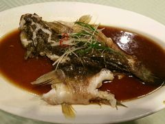 -老人和饭店(打浦路店)
