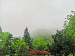 -缙云山景区