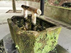 -都江堰普照寺