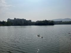 -江南大学(蠡湖校区)