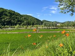 -南泥湾风景区