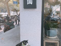 -囿面传统制面馆(中央路店)