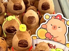 -洋洋广场(南街店)