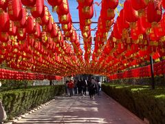 -大槐树寻根祭祖园