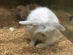 -上海大自然野生昆虫馆