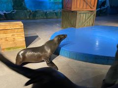 -常州海昌海洋探索馆