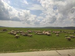 -莫日格勒旅游景区