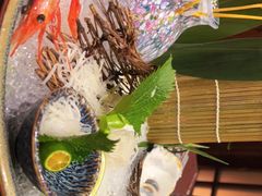 -鸟鹏烧鸟居酒屋(龙岗万科店)