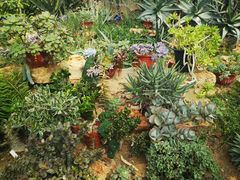 -国家植物园南园