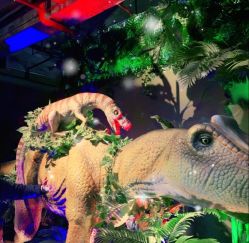 -恐龙探索乐园(磁器口店)