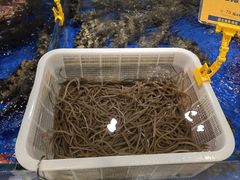 油鳝-79号渔船海鲜饭店(华强北店)