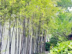 -南京民俗博物馆(甘熙故居)