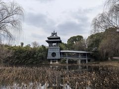 -金鸡湖桃花岛