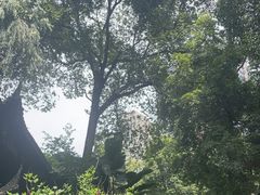 -大妙火锅·非物质文化遗产(东湖公园店)