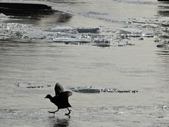 -海河外滩公园