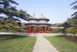 -润复丝·泽发防脱头皮管理