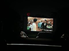 -枫花园汽车电影院(朝阳公园店)