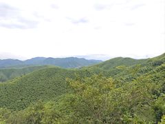 -莫干山风景区