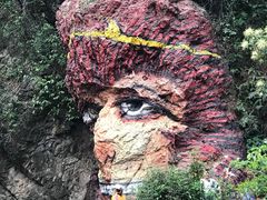 -南海湾森林生态园