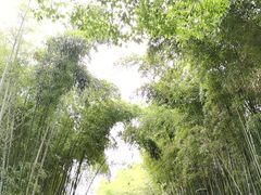 -苏州河梦清园环保主题公园