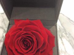 -ROSEONLY诺誓(青岛万象城店)